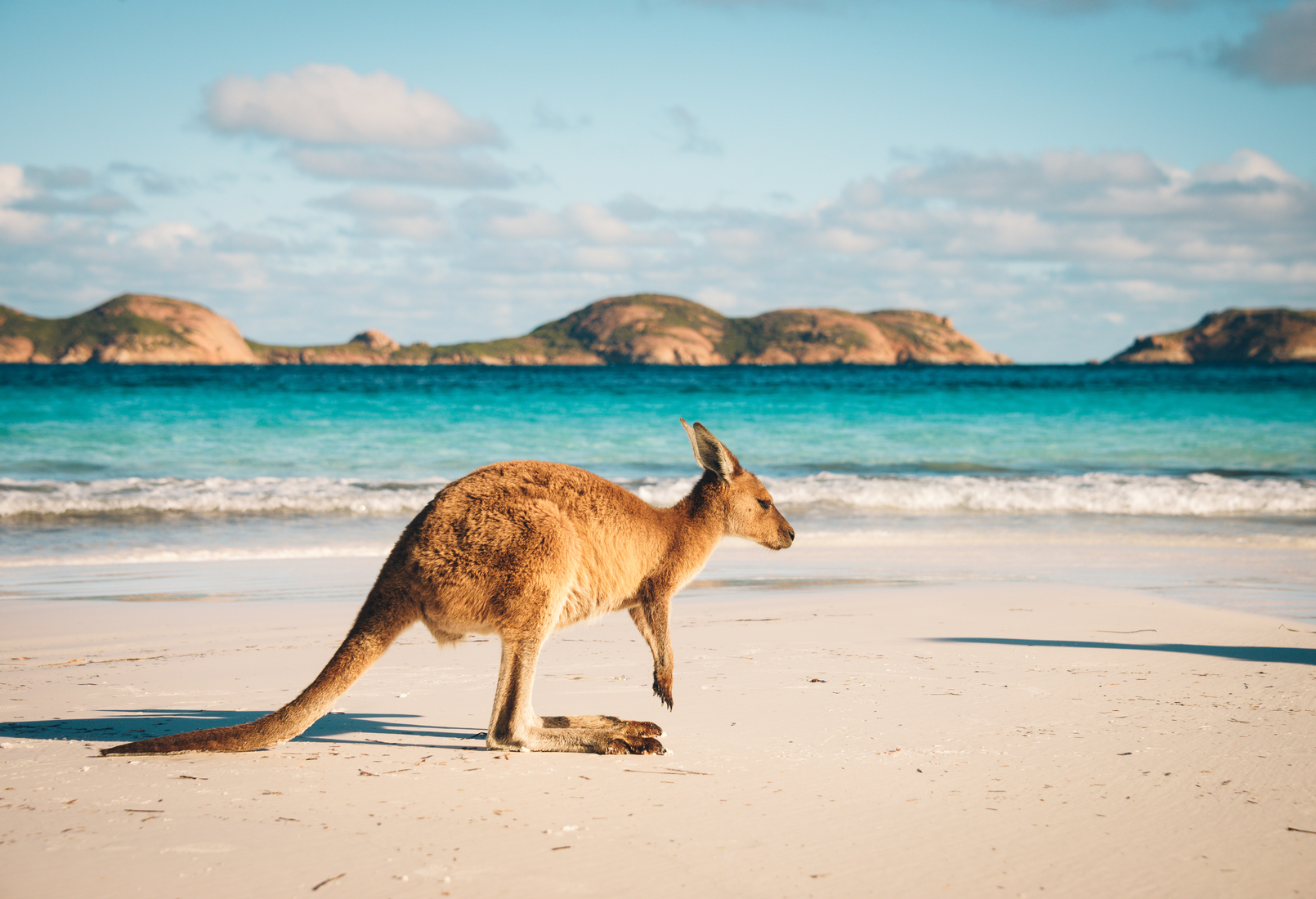 Australia Travel