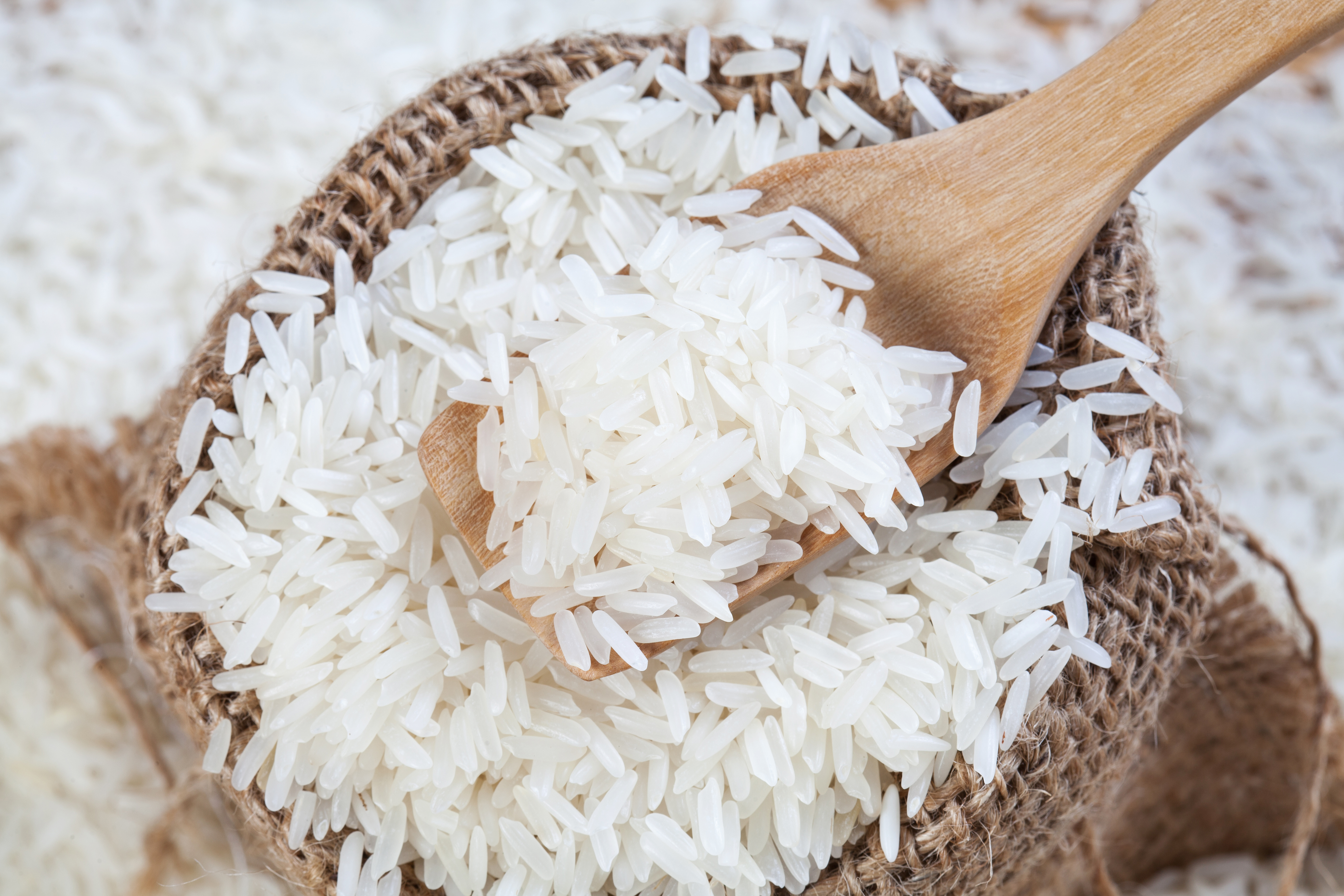 Rice article 